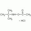 O-乙酰基-N-叔丁基羥胺鹽酸鹽>98%